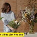 Hướng dẫn cách lá bạc cắm hoa đẹp