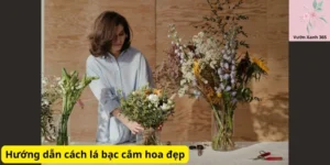 Hướng dẫn cách lá bạc cắm hoa đẹp