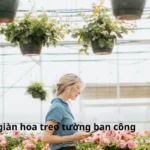 Ưu điểm của giàn hoa treo tường ban công