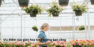 Ưu điểm của giàn hoa treo tường ban công